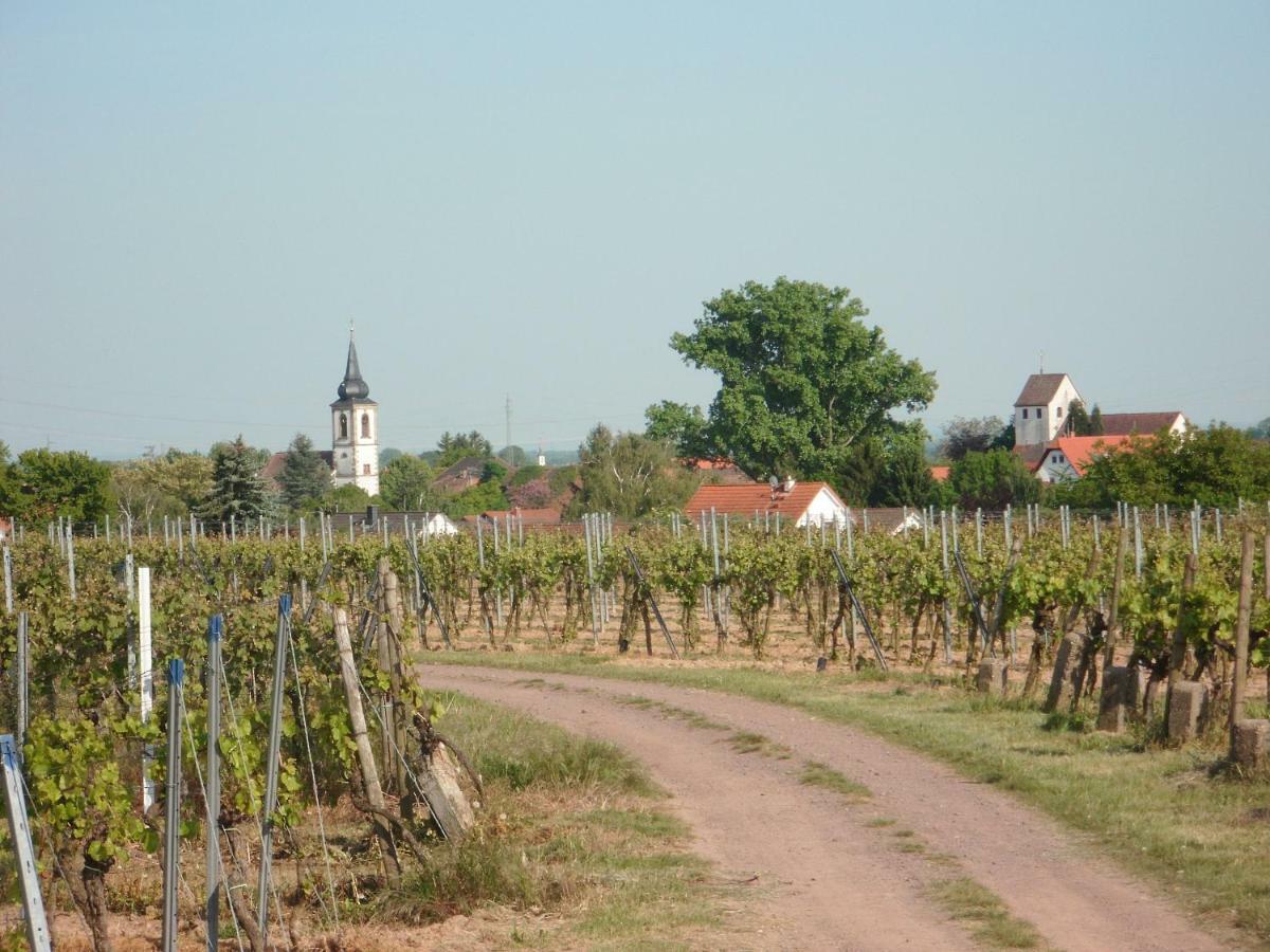 Ferienwohnung Suedpfalz Weingarten  Exteriör bild